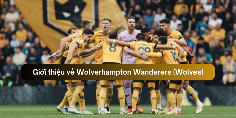 Giới thiệu về Wolverhampton Wanderers (Wolves)