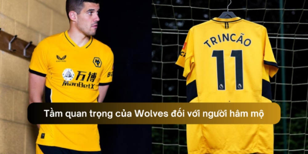 Tầm quan trọng của Wolves đối với người hâm mộ